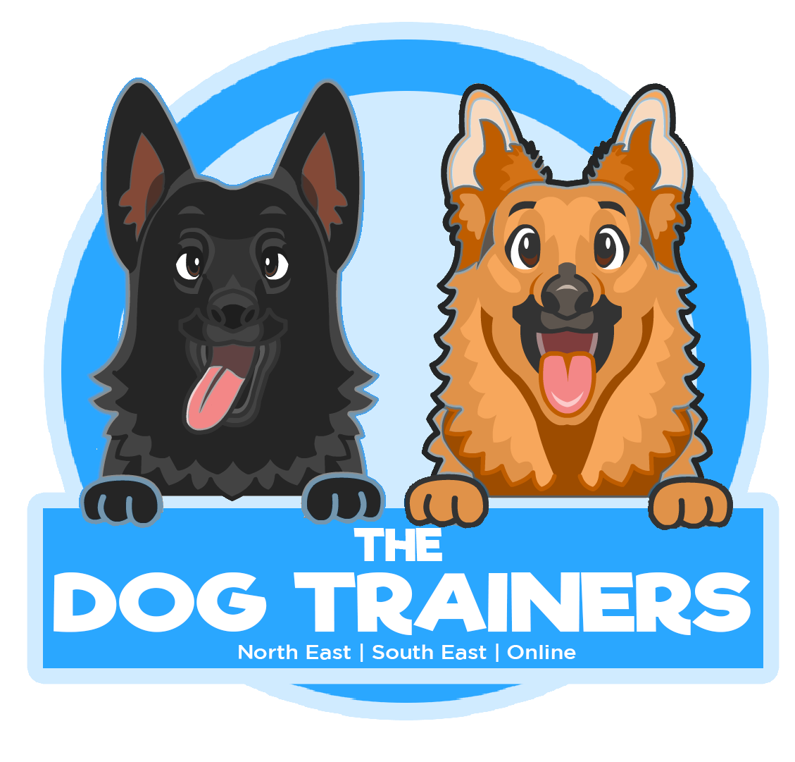 Qualified Dog and puppy training and behaviour in Bedlington